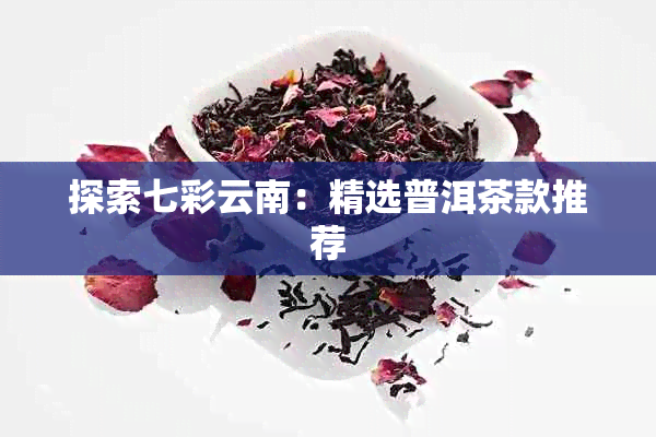 探索七彩云南：精选普洱茶款推荐
