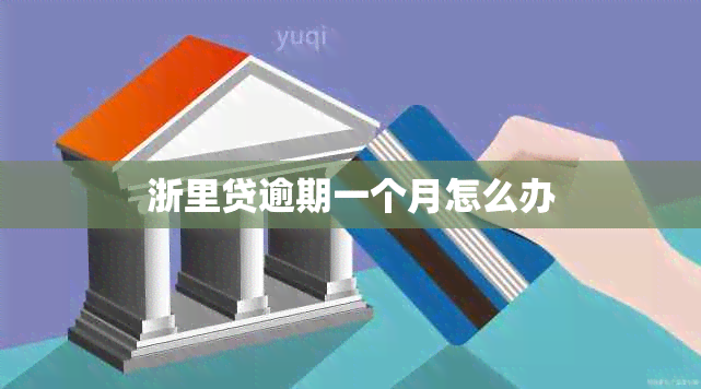 浙里贷逾期一个月怎么办