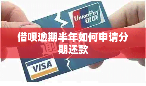网贷逾期半年如何申请分期还款