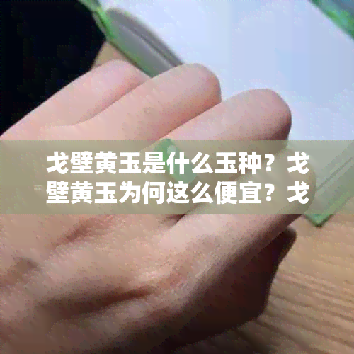戈壁黄玉是什么玉种?戈壁黄玉为何这么便宜?戈壁滩黄玉石揭秘