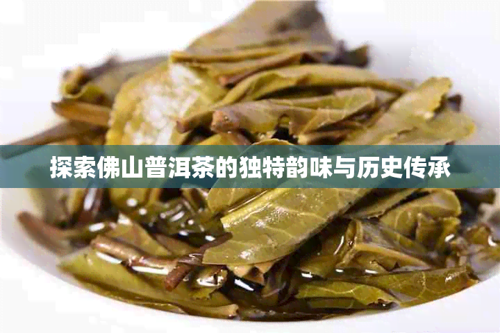 探索佛山普洱茶的独特韵味与历史传承