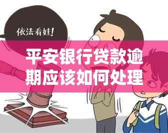 平安银行贷款逾期应该如何处理