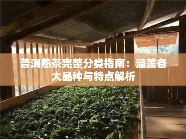 普洱熟茶完整分类指南:涵盖各大品种与特点解析