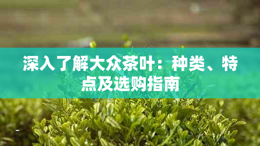 深入了解大众茶叶:种类、特点及选购指南