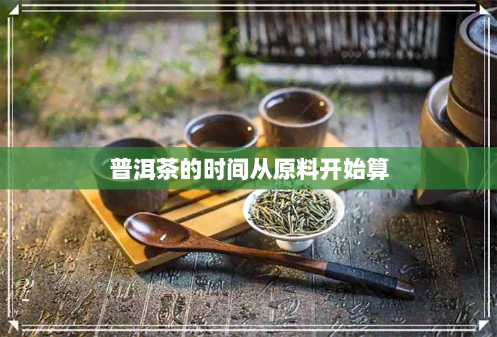 普洱茶的时间从原料开始算