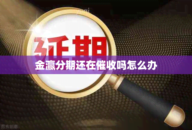 金瀛分期还在吗怎么办