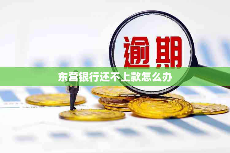 东营银行还不上款怎么办