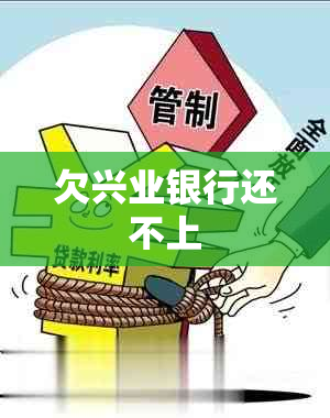 欠兴业银行还不上