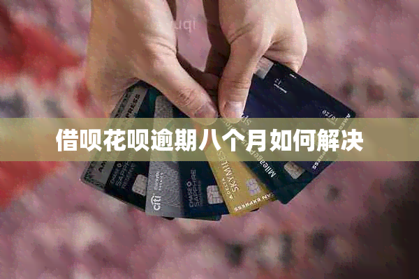 网贷信用卡逾期八个月如何解决