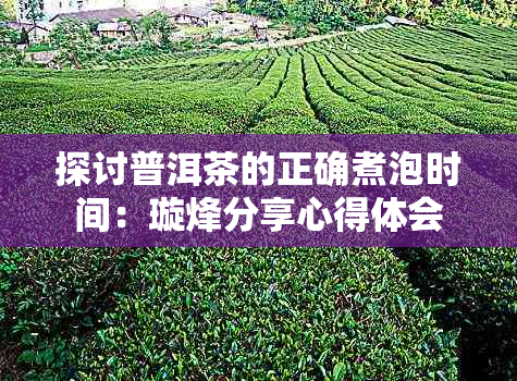 探讨普洱茶的正确煮泡时间:璇烽分享心得体会