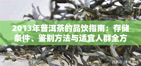 2013年普洱茶的品饮指南:存储条件、鉴别方法与适宜人群全方位解析