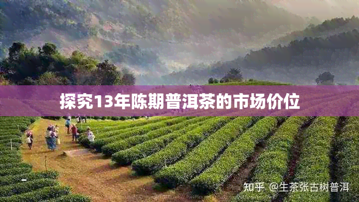 探究13年陈期普洱茶的市场价位