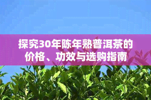 探究30年陈年熟普洱茶的价格、功效与选购指南