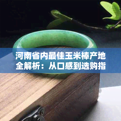 河南省内更佳玉米棒产地全解析:从口感到选购指南