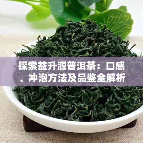 探索益升源普洱茶：口感、冲泡方法及品鉴全解析