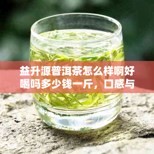 益升源普洱茶怎么样啊好喝吗多少钱一斤，口感与价格详解