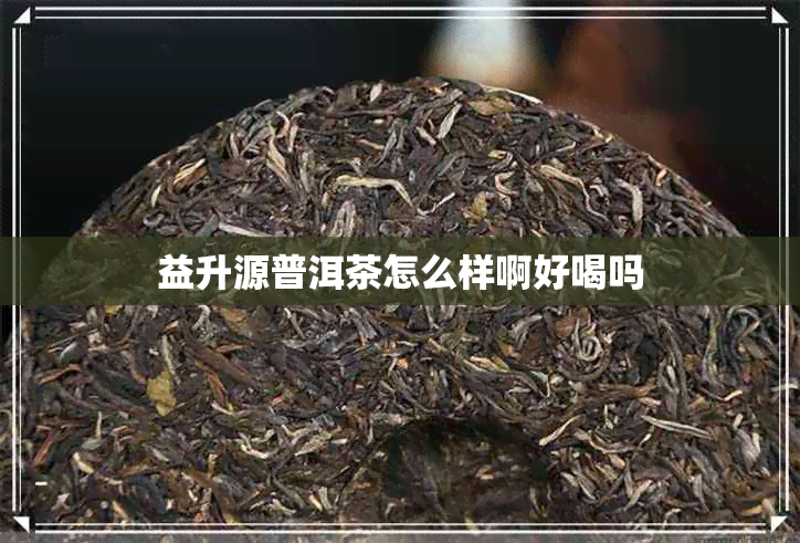 益升源普洱茶怎么样啊好喝吗