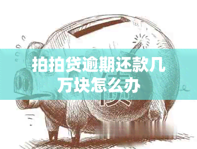 拍拍贷逾期还款几万块怎么办