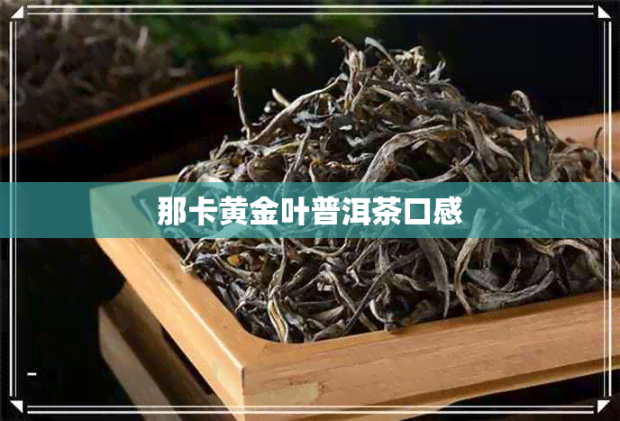 那卡黄金叶普洱茶口感 那卡黄金叶普洱茶口感