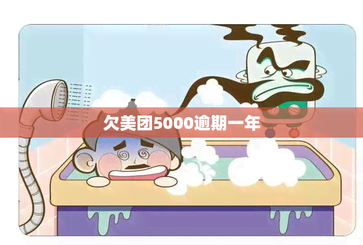 欠美团5000逾期一年