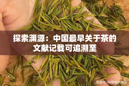 探索渊源:中国最早关于茶的文献记载可追溯至