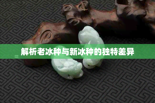 解析老冰种与新冰种的独特差异