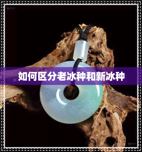 如何区分老冰种和新冰种 如何区分老冰种和新冰种