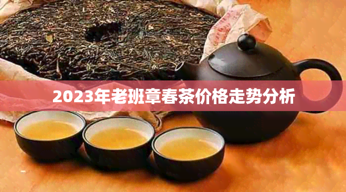 2023年老班章春茶价格走势分析