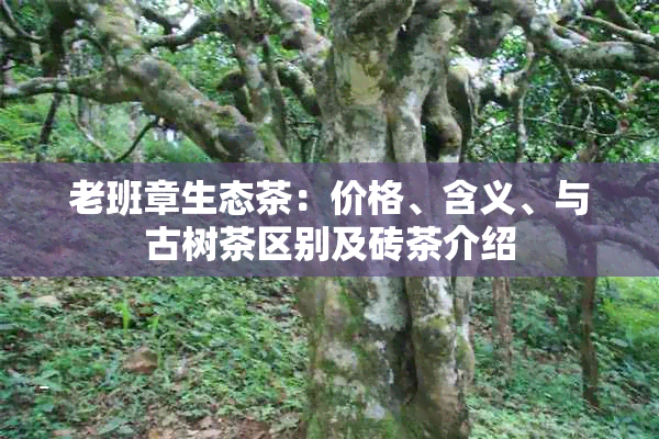 老班章生态茶：价格、含义、与古树茶区别及砖茶介绍