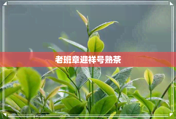 老班章迎祥号熟茶