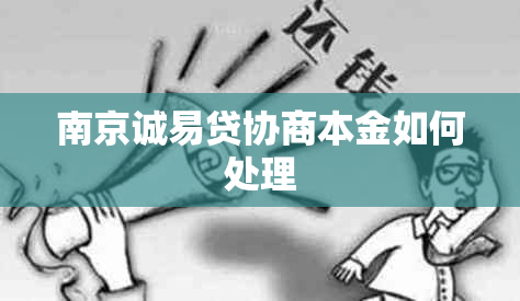 南京诚易贷协商本金如何处理