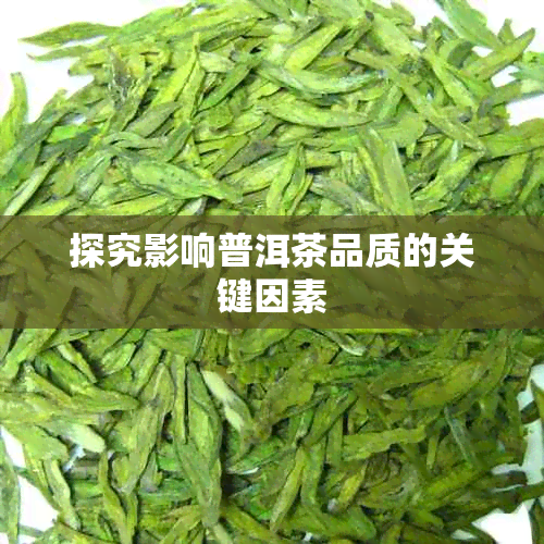 探究影响普洱茶品质的关键因素