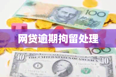 网贷逾期拘留处理