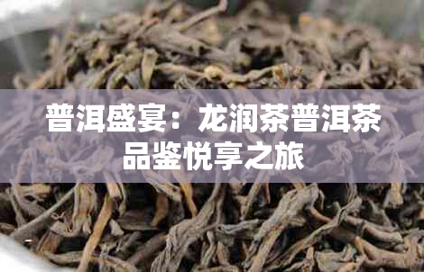 普洱盛宴：龙润茶普洱茶品鉴悦享之旅