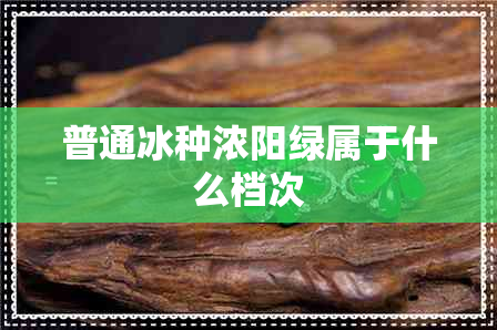普通冰种浓阳绿属于什么档次