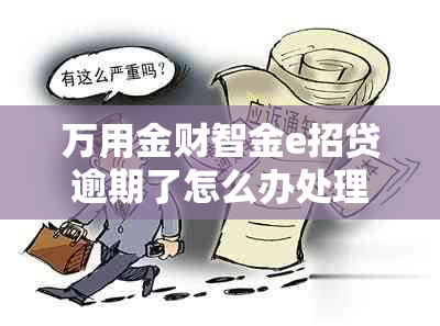万用金财智金e招贷逾期了怎么办处理方法