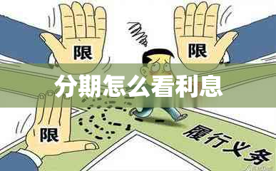 分期怎么看利息