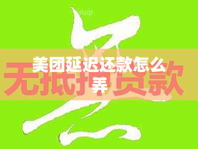 美团延迟还款怎么弄