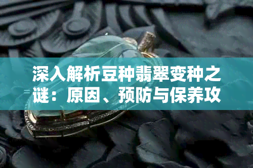 深入解析豆种翡翠变种之谜：原因、预防与保养攻略