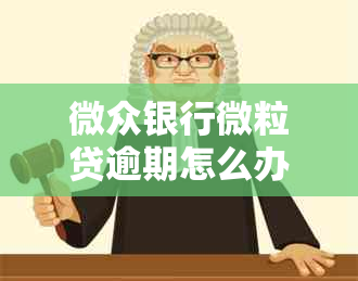 微众银行微粒贷逾期怎么办情况及应对措施