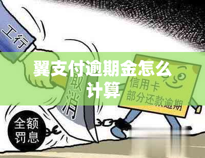 翼支付逾期金怎么计算