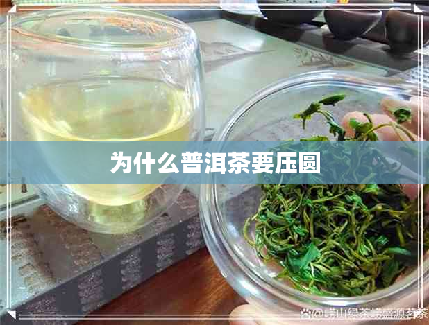 为什么普洱茶要压圆