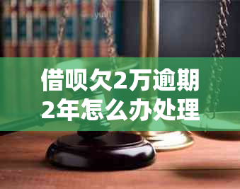 网贷欠2万逾期2年怎么办处理方式