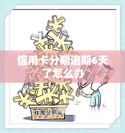 信用卡分期逾期6天了怎么办