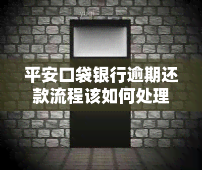 平安口袋银行逾期还款流程该如何处理