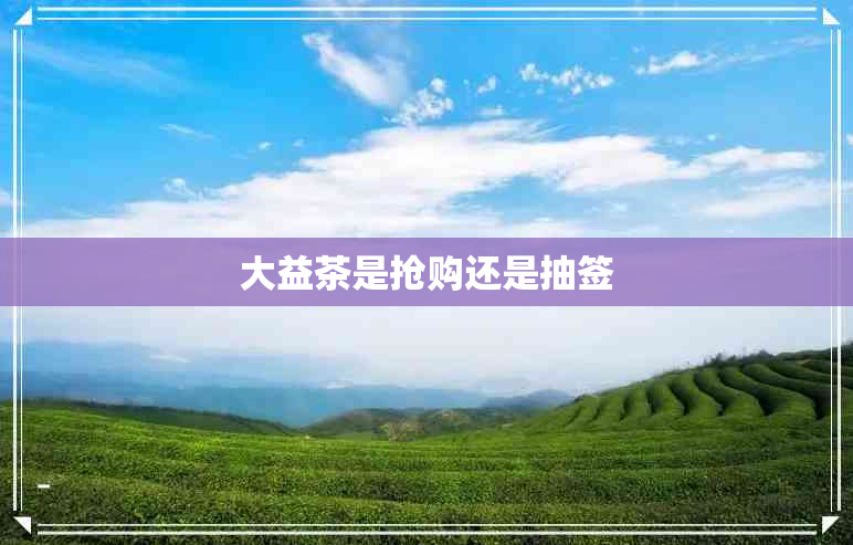 大益茶是抢购还是抽签