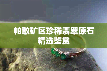 帕敢矿区珍稀翡翠原石精选鉴赏