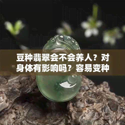 豆种翡翠会不会养人？对身体有影响吗？容易变种吗？会越戴越通透吗？