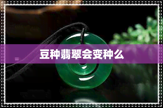 豆种翡翠会变种么
