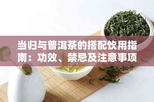 当归与普洱茶的搭配饮用指南：功效、禁忌及注意事项全解析